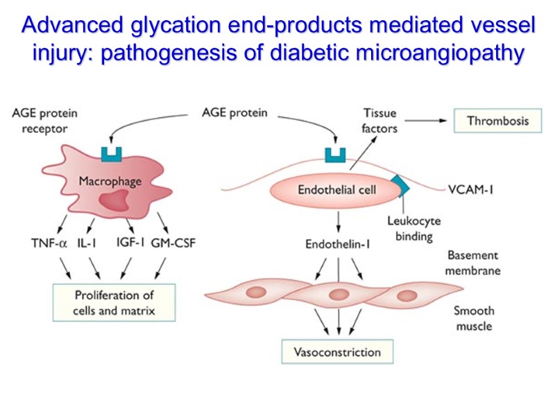 Advanced glycation end-products mediated vessel injury: pathogenesis of diabetic microangiopathy